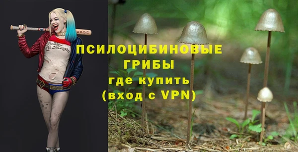 прущий лед Нея