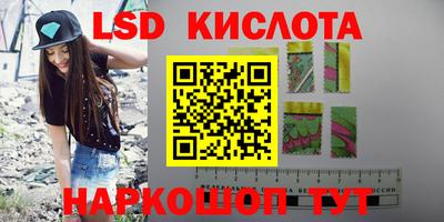 PSILOCYBIN Камышлов