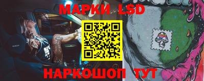 PSILOCYBIN Камышлов