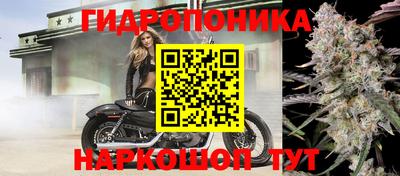 спиды Кандалакша