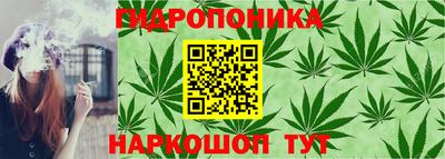 каннабис Будённовск