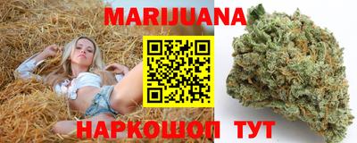 шишки Канаш
