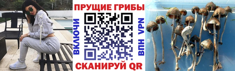 Галлюциногенные грибы Magic Shrooms Рубцовск