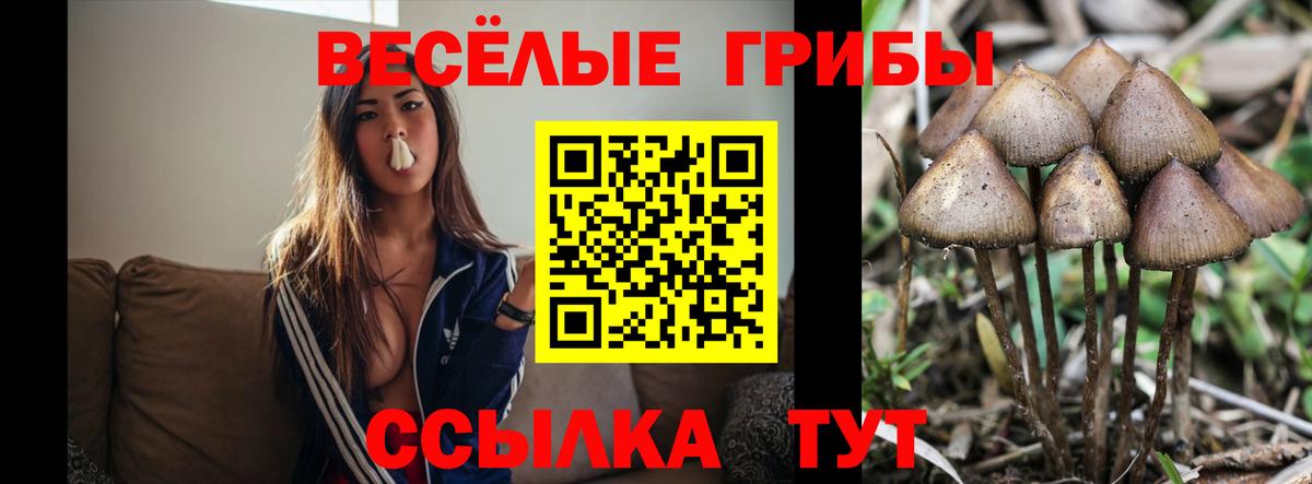 Амфетамин Рубцовск